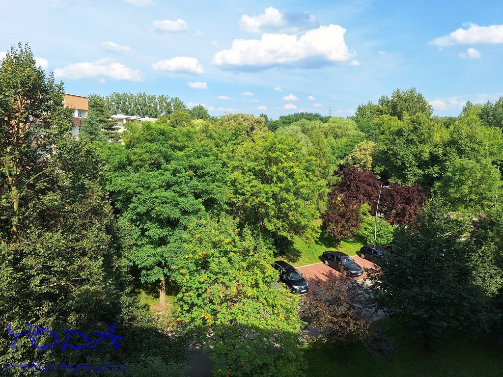 Mieszkanie Wynajem Katowice Brynów Władysława Orkana